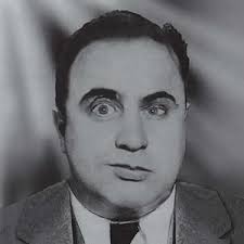 Attēlu rezultāti vaicājumam “Lycogala asperum young”