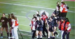 Image result for Phoenix Hockey Club (Essex)