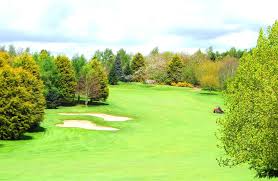 Image result for Bromsgrove Badminton Club