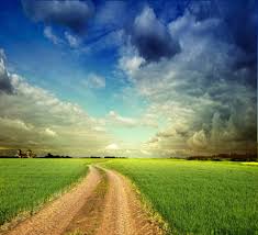 Image result for image