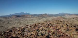 Attēlu rezultāti vaicājumam “Craterium sp.”