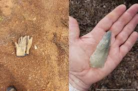 Image result for SEM micrographs of Novaculite Arkansas