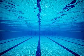 Image result for Dublin Underwater Hockey Team