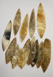 Image result for feuille-laurier-silex