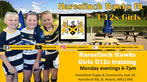 Image result for Haresfinch Amateur Rugby League Football Club