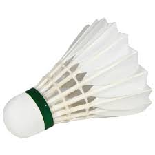 Image result for Shuttles Badminton Club (Frome)