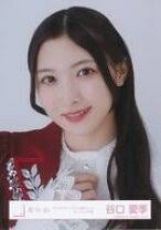 Image result for 谷口愛理