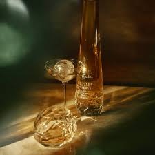 「デ・メトリオ・ル・ヴィラジュリオ」の画像検索結果