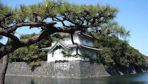 Image result for Imperial Dojo