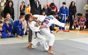 Image result for Phoenix Star Judo Club (Southwick)
