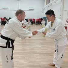 Image result for Surrey Taekwondo