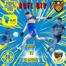 Image result for St Patrick`s Gac, Saul