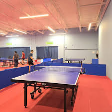 Image result for Langley Rockets Badminton Club