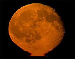 Attēlu rezultāti vaicājumam “Etruscan Vase Omega Sun”