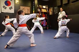 Image result for Martial Arts Karate Mesa AZ