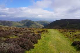 Image result for Long Mynd
