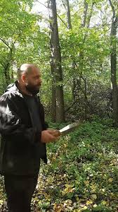 Картинки по запросу белку зажевало в диск