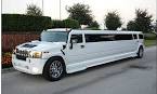 Texas Wedding Limousine Rentals in TX
