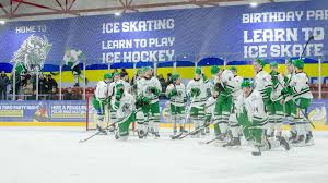 Image result for Basingstoke Bison Ice Hockey Club