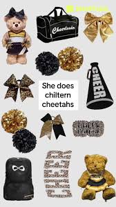 Image result for Chiltern Cheetahs
