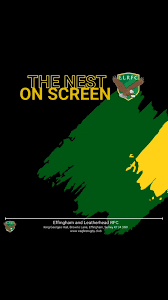 Image result for Effingham and Leatherhead Rfc