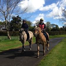 Image result for Fife Riding Club