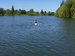 Image result for Erith Rowing Club