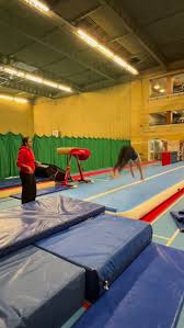 Image result for Epping Forest Elite Gymnastics Club