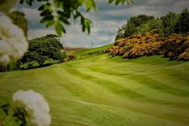 Image result for Vale Of Leven Golf Club