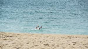 Image result for Swimming Skills Cornwall | St Ives