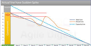 Image result for burnup chart