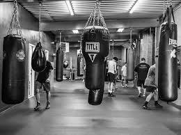 Image result for York University Boxing Club