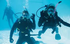 Image result for Blue Water Diving