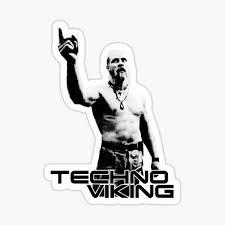 Resultado de imagen para techno viking