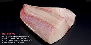 Image result for Eumegistus illustris