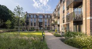 Image result for Byfleet Cricket Club