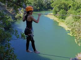 Image result for PONT DE SINGE