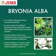 Attēlu rezultāti vaicājumam “Bryonia alba”