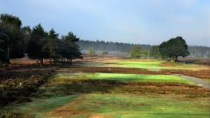 Image result for Hankley Common Golf Club