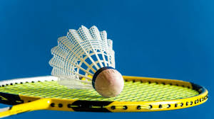 Image result for Feathers (New Milton) Badminton Club