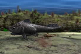 Attēlu rezultāti vaicājumam “Laccognathus panderi”