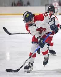 Image result for Spalding Hockey Club