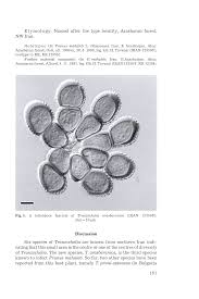 Attēlu rezultāti vaicājumam “Tranzschelia pruni-spinosae spores”