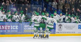 Image result for Basingstoke Bison Ice Hockey Club