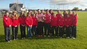 Image result for Ballerin Gaelic Athletic Club