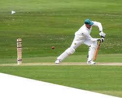 Image result for Adlington Cricket Club