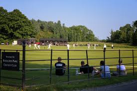 Image result for Buscot Park Cricket Club