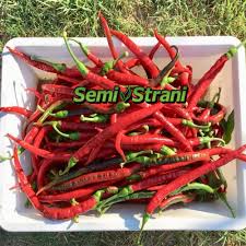 Afbeeldingsresultaat voor joe long cayenne hot pepper