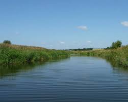 Image result for Newenden Cricket Club