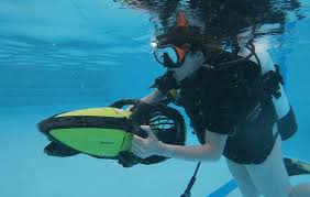 Image result for Looe Diving Club